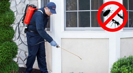 Yahyalı Gümüşkurt İlaçlama böcek ilaçlama ve haşere kontrolü — ilaclama-tr.com
